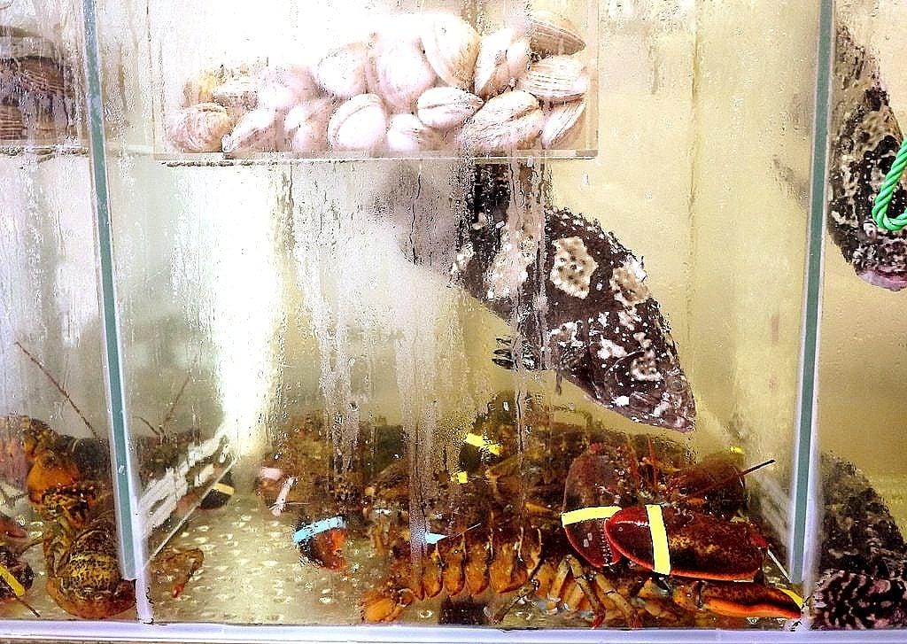 【東湖海鮮餐廳】 蒸霸王蒸氣火鍋-東湖店 澎湃海鮮塔.吃的到新鮮海鮮原味 / 海鮮餐廳/ - 第5張圖 【東湖海鮮餐廳】 蒸霸王蒸氣火鍋-東湖店 澎湃海鮮塔.吃的到新鮮海鮮原味 / 海鮮餐廳/