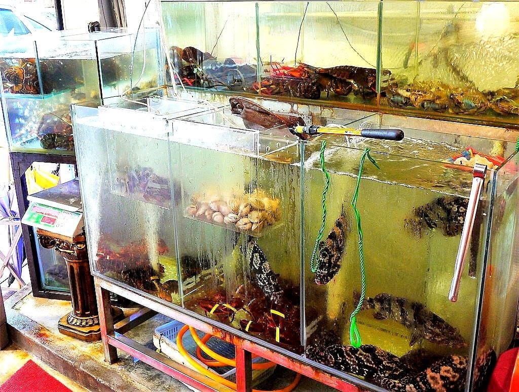 【東湖海鮮餐廳】 蒸霸王蒸氣火鍋-東湖店 澎湃海鮮塔.吃的到新鮮海鮮原味 / 海鮮餐廳/ - 第4張圖 【東湖海鮮餐廳】 蒸霸王蒸氣火鍋-東湖店 澎湃海鮮塔.吃的到新鮮海鮮原味 / 海鮮餐廳/