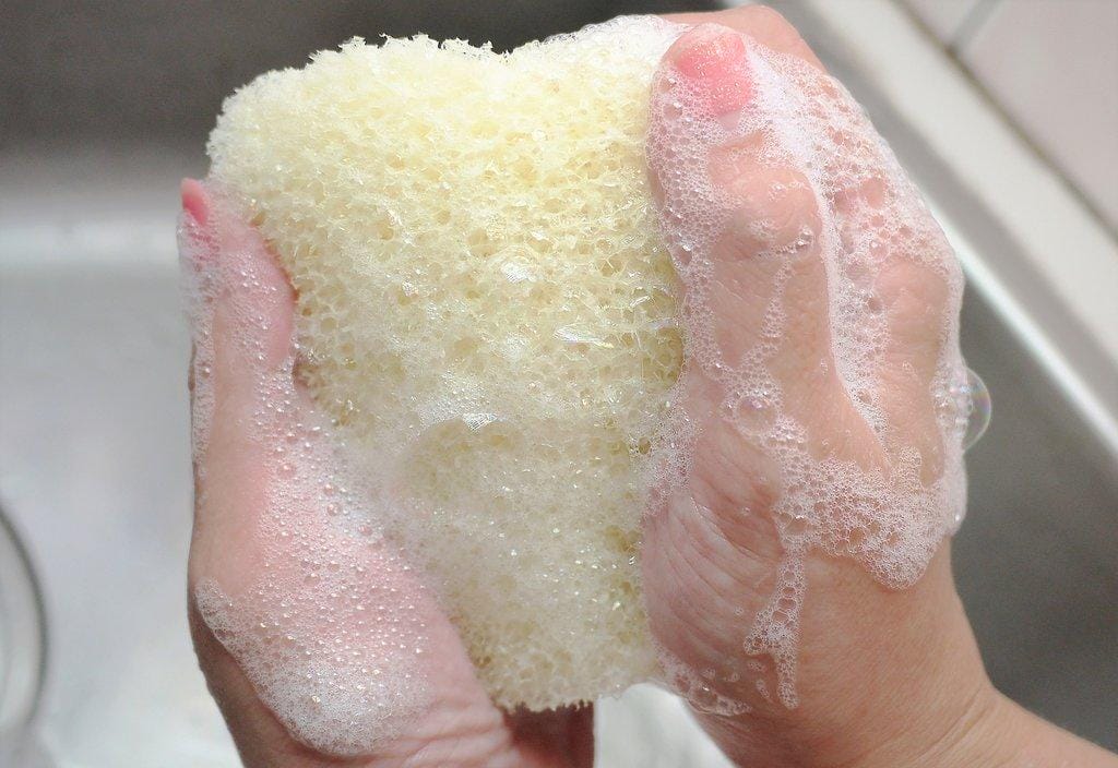 《賴記苦茶油 》 苦茶油籽精萃嫩膚身體乳(吸收快不黏膩) / 純淨洗潔露 天然最友善.環境無負擔~ 天然苦茶油保養 - 第22張圖 《賴記苦茶油 》 苦茶油籽精萃嫩膚身體乳(吸收快不黏膩) / 純淨洗潔露 天然最友善.環境無負擔~ 天然苦茶油保養