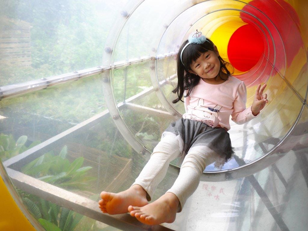 | 三芝 | 海豚咖啡 親子友善餐廳 大沙坑 / 溜滑梯 / 空中透明隧道 . 孩子盡情放電玩耍(文末影音) - 第33張圖 | 三芝 | 海豚咖啡 親子友善餐廳 大沙坑 / 溜滑梯 / 空中透明隧道 . 孩子盡情放電玩耍(文末影音)