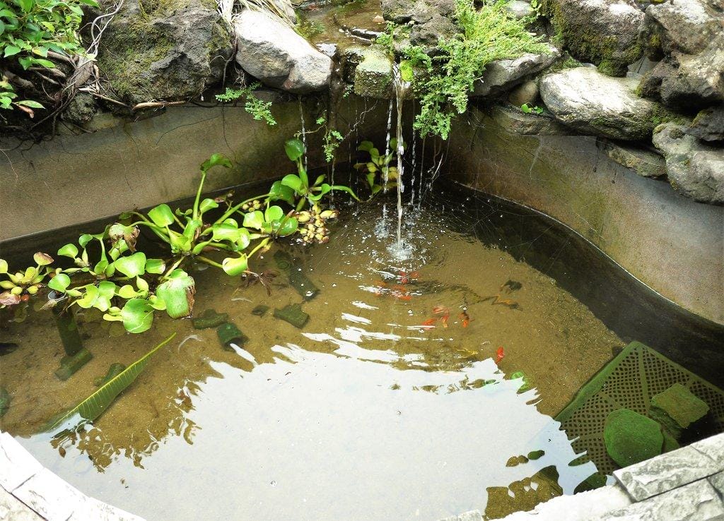 | 三芝 | 海豚咖啡 親子友善餐廳 大沙坑 / 溜滑梯 / 空中透明隧道 . 孩子盡情放電玩耍(文末影音) - 第81張圖 | 三芝 | 海豚咖啡 親子友善餐廳 大沙坑 / 溜滑梯 / 空中透明隧道 . 孩子盡情放電玩耍(文末影音)