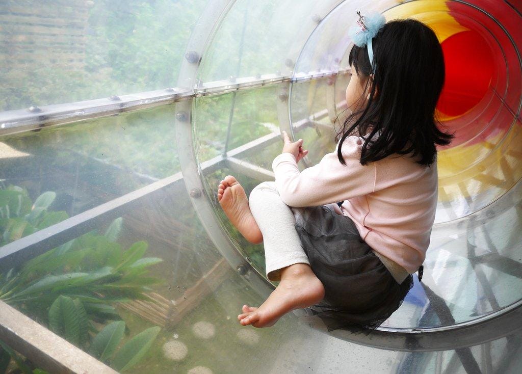 | 三芝 | 海豚咖啡 親子友善餐廳 大沙坑 / 溜滑梯 / 空中透明隧道 . 孩子盡情放電玩耍(文末影音) - 第34張圖 | 三芝 | 海豚咖啡 親子友善餐廳 大沙坑 / 溜滑梯 / 空中透明隧道 . 孩子盡情放電玩耍(文末影音)