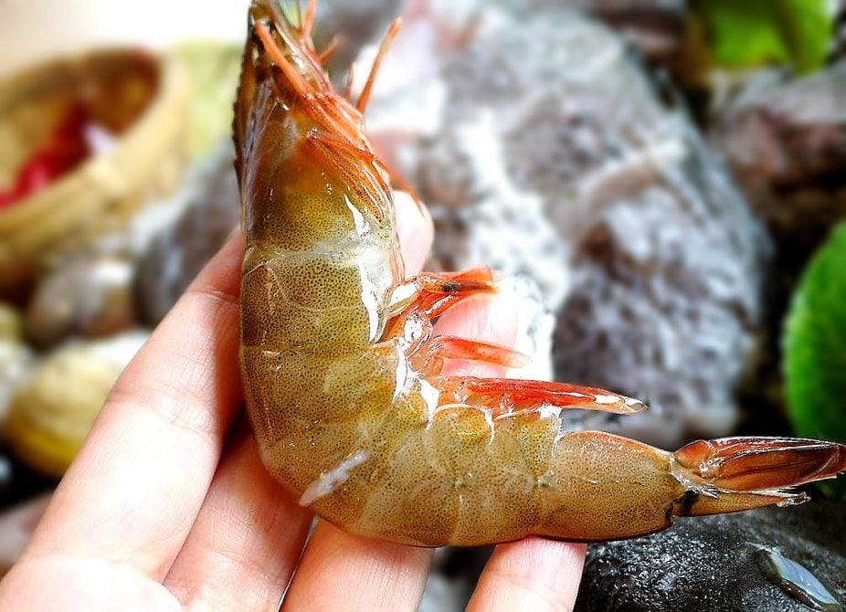 ‖永和火鍋‖ 柳村火鍋-永元店 雙人石斑魚套餐 蔬果/藥膳湯底 親民價格 - 第40張圖 ‖永和火鍋‖ 柳村火鍋-永元店 雙人石斑魚套餐 蔬果/藥膳湯底 親民價格