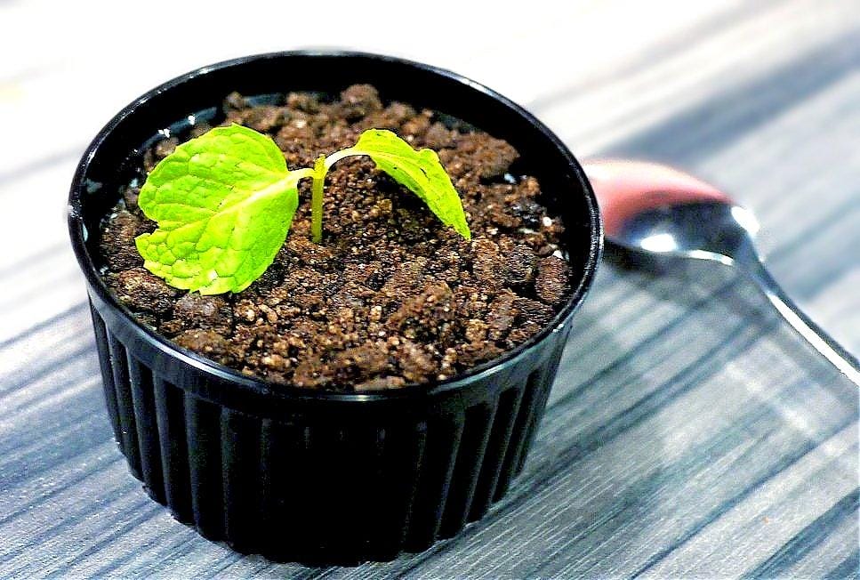 |東區火鍋推薦|玹火鍋 鍋物 / 串燒 / 調酒 . 網美必朝聖 忠孝敦化火鍋推薦 - 第53張圖 |東區火鍋推薦|玹火鍋 鍋物 / 串燒 / 調酒 . 網美必朝聖 忠孝敦化火鍋推薦