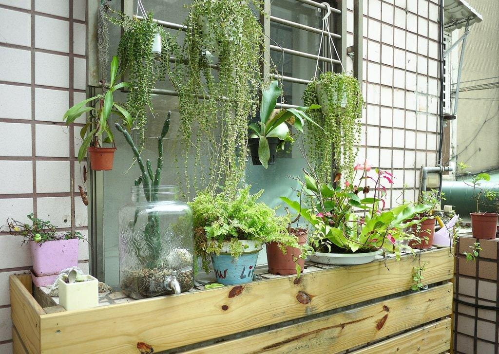 ‖內湖美式餐廳‖ GREEN BUNNY 限量手工甜點.手作創意美式料理.親子友善/寵物友善 - 第6張圖 ‖內湖美式餐廳‖ GREEN BUNNY 限量手工甜點.手作創意美式料理.親子友善/寵物友善