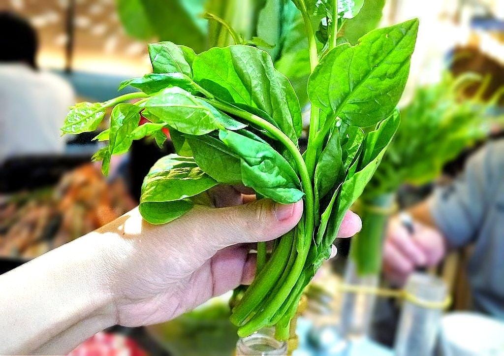 |中永和美食| 八海食潮當代鍋物 金多蝦3人餐 / 8種蝦子堆疊小山 ~ 中和環球購物中心 - 第35張圖 |中永和美食| 八海食潮當代鍋物 金多蝦3人餐 / 8種蝦子堆疊小山 ~ 中和環球購物中心