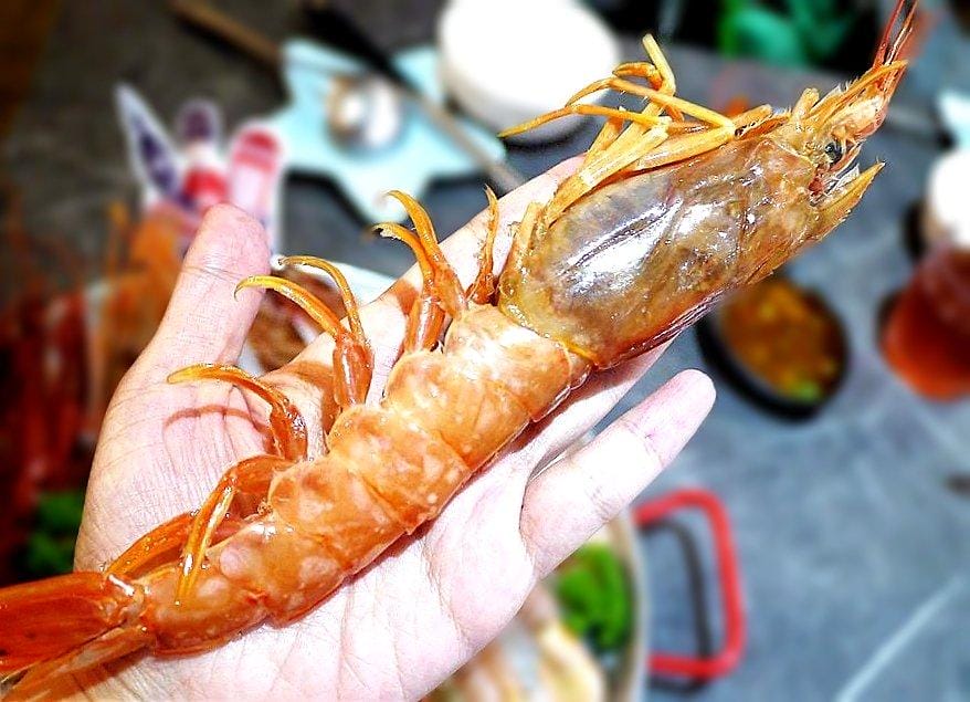 |中永和美食| 八海食潮當代鍋物 金多蝦3人餐 / 8種蝦子堆疊小山 ~ 中和環球購物中心 - 第51張圖 |中永和美食| 八海食潮當代鍋物 金多蝦3人餐 / 8種蝦子堆疊小山 ~ 中和環球購物中心