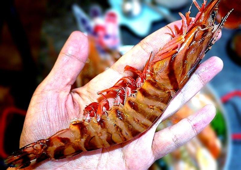 |中永和美食| 八海食潮當代鍋物 金多蝦3人餐 / 8種蝦子堆疊小山 ~ 中和環球購物中心 - 第52張圖 |中永和美食| 八海食潮當代鍋物 金多蝦3人餐 / 8種蝦子堆疊小山 ~ 中和環球購物中心