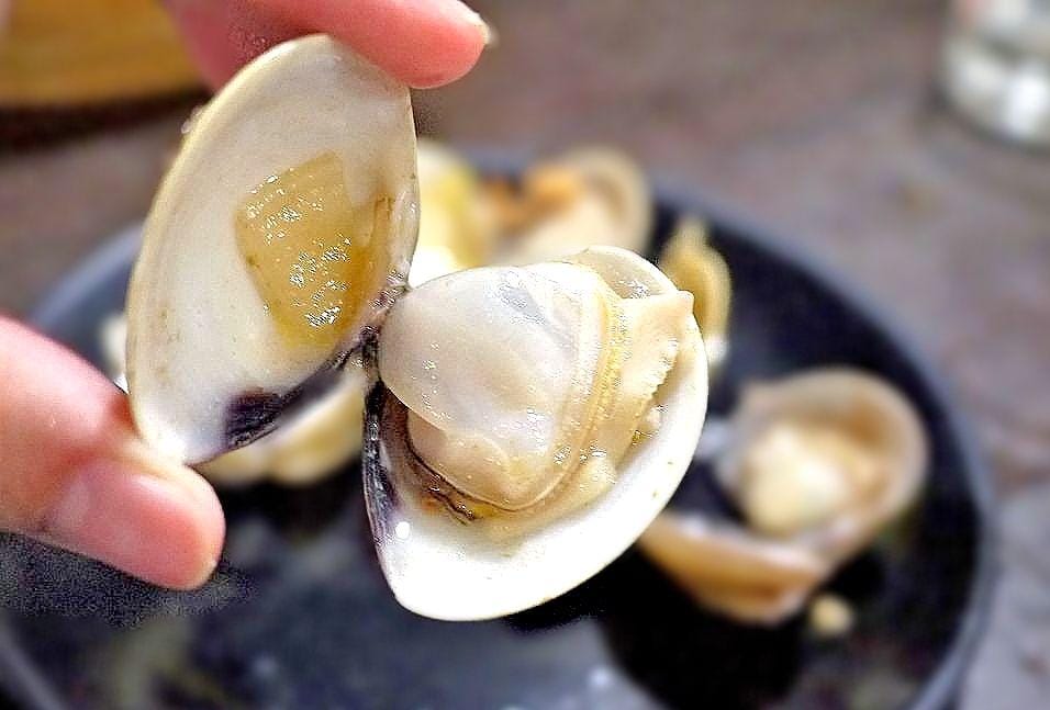 |火鍋推薦| 赤哥汕頭火鍋 獨家自製沙茶醬 , A5和牛 / 溫體牛 / 手工丸 扁魚沙茶火鍋 - 第42張圖 |火鍋推薦| 赤哥汕頭火鍋 獨家自製沙茶醬 , A5和牛 / 溫體牛 / 手工丸 扁魚沙茶火鍋