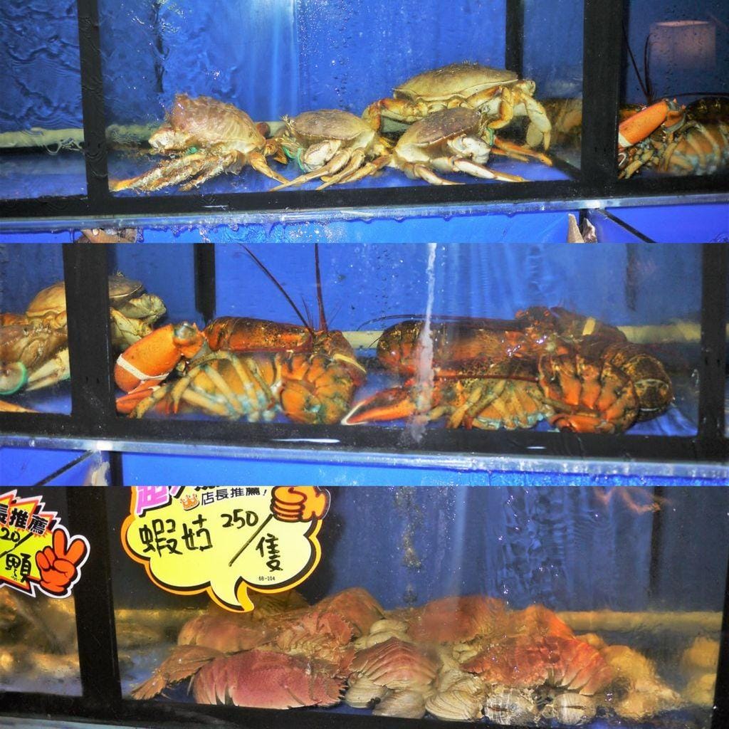 ‖ 中和海鮮餐廳 ‖龍洞灣海鮮料理 中和熱炒.平民價位.團體聚餐.熱炒2.0進化版 - 第7張圖 ‖ 中和海鮮餐廳 ‖龍洞灣海鮮料理 中和熱炒.平民價位.團體聚餐.熱炒2.0進化版