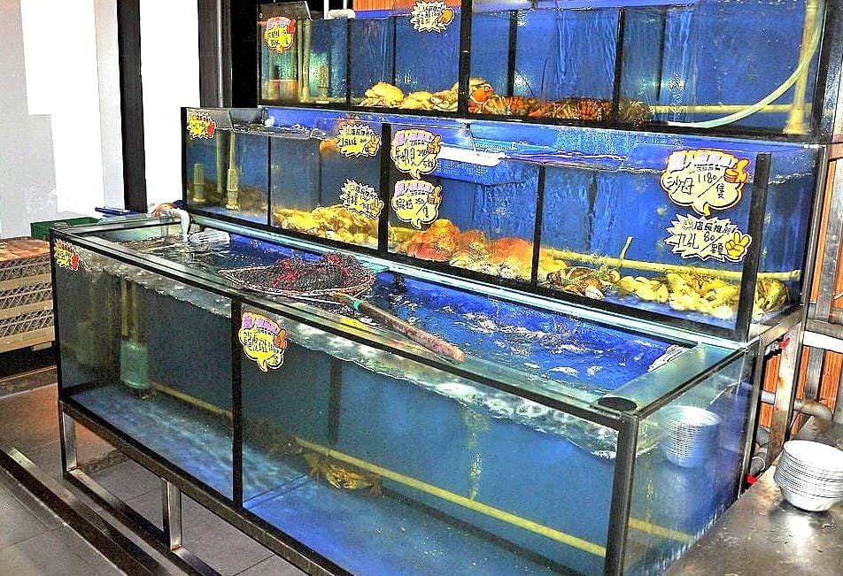 ‖ 中和海鮮餐廳 ‖龍洞灣海鮮料理 中和熱炒.平民價位.團體聚餐.熱炒2.0進化版 - 第6張圖 ‖ 中和海鮮餐廳 ‖龍洞灣海鮮料理 中和熱炒.平民價位.團體聚餐.熱炒2.0進化版
