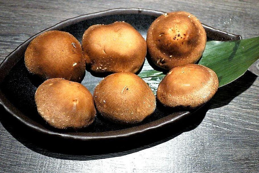 ‖食記‖ 千荷田日式涮涮鍋-永安店 |雙拼超值鍋|招牌羊肉鍋|昆布湯底| 麻辣湯底(捷運永安市場美食) - 第23張圖 ‖食記‖ 千荷田日式涮涮鍋-永安店 |雙拼超值鍋|招牌羊肉鍋|昆布湯底| 麻辣湯底(捷運永安市場美食)
