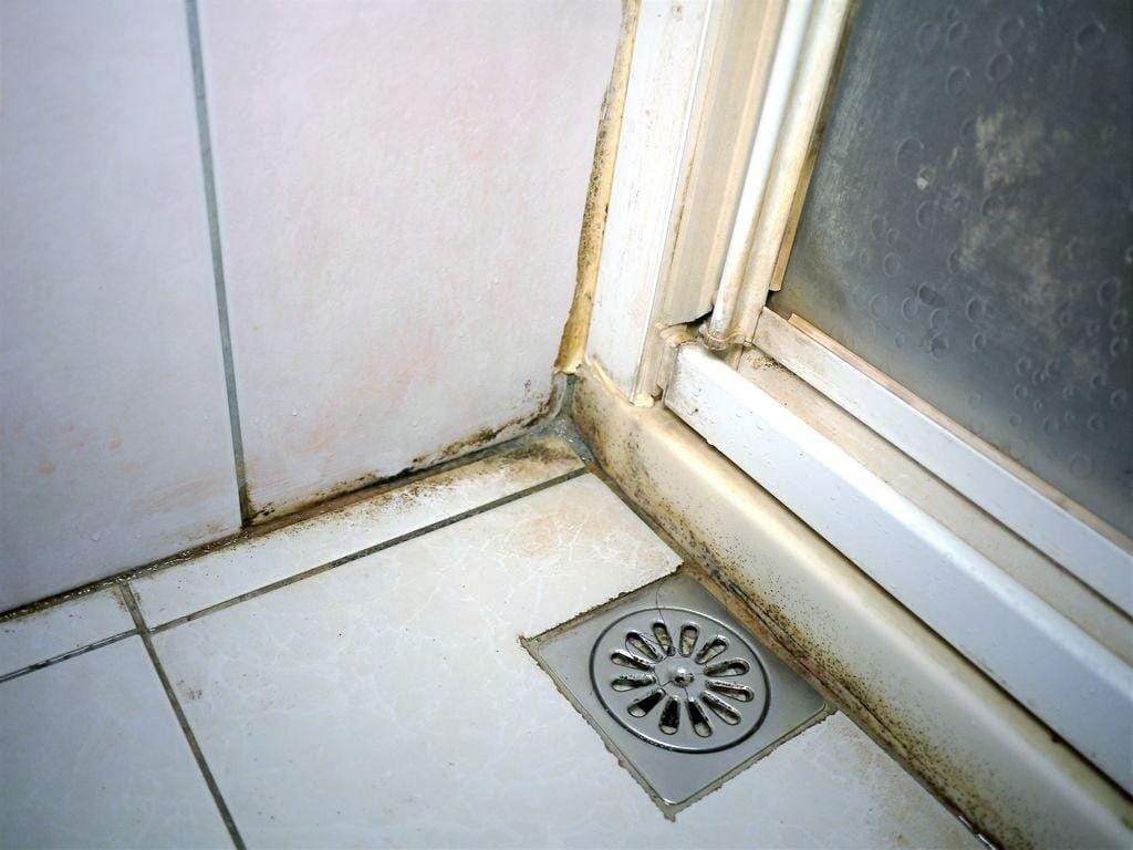 |家庭主婦必備|潔淨學 浴廁除霉噴霧 輕鬆當個清掃達人 / 天然低敏 / 歐盟有機成份 .守護全家人的健康 - 第9張圖 |家庭主婦必備|潔淨學 浴廁除霉噴霧 輕鬆當個清掃達人 / 天然低敏 / 歐盟有機成份 .守護全家人的健康