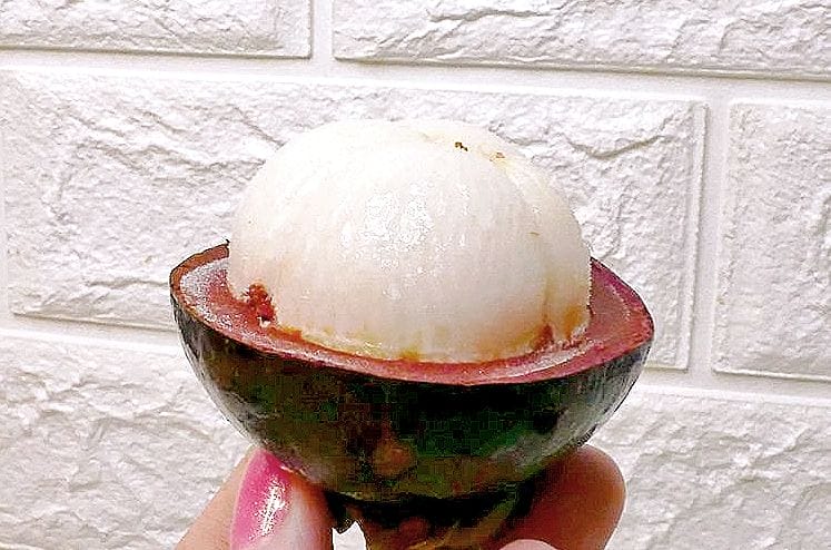 | 宅配泰國水果 | 五甲木農場.極鮮冷凍山竹、紅毛丹、榴槤~不用非出國就能享用 - 第8張圖 | 宅配泰國水果 | 五甲木農場.極鮮冷凍山竹、紅毛丹、榴槤~不用非出國就能享用