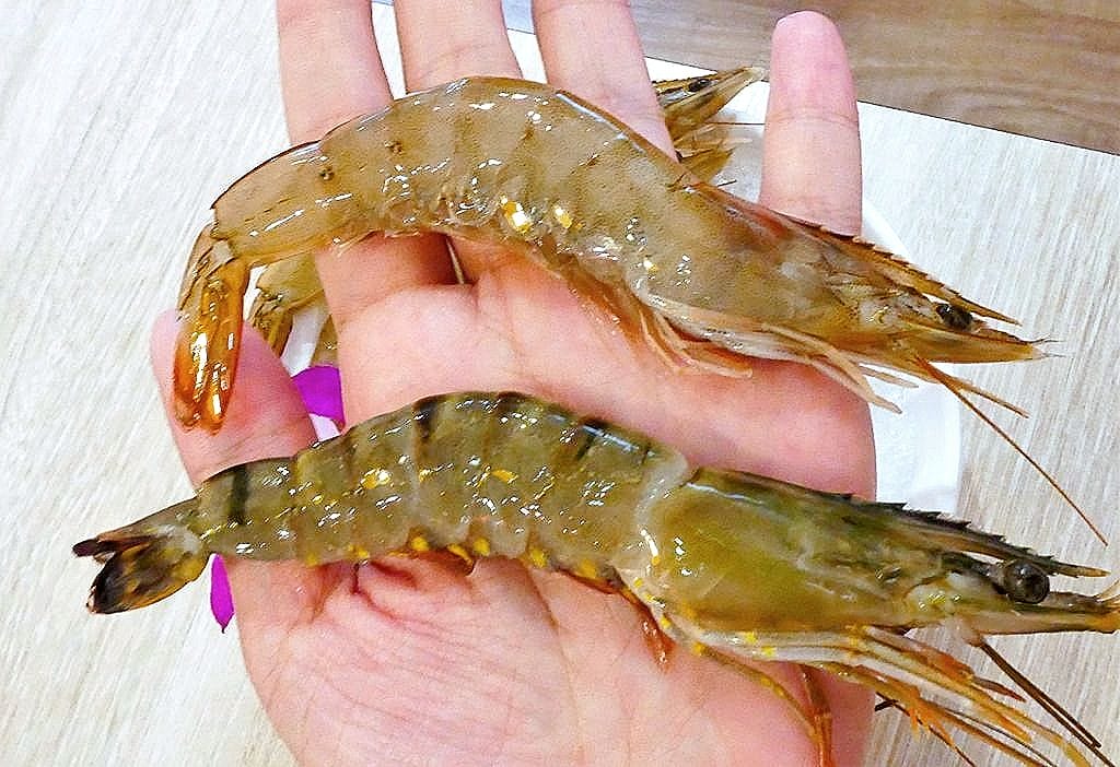 | 三重蘆洲火鍋推薦 | 鮮開鍋職人鍋物 新鮮食材.豪華海鮮拼盤.起司牛奶鍋 - 第31張圖 | 三重蘆洲火鍋推薦 | 鮮開鍋職人鍋物 新鮮食材.豪華海鮮拼盤.起司牛奶鍋