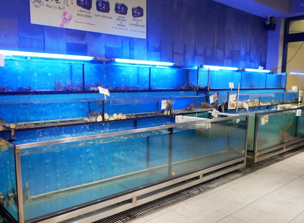 | 台北火鍋 | 土狗樂市 togo market .台北海鮮.火鍋.日式料理.小農蔬菜.下午茶甜點 - 第12張圖 | 台北火鍋 | 土狗樂市 togo market .台北海鮮.火鍋.日式料理.小農蔬菜.下午茶甜點