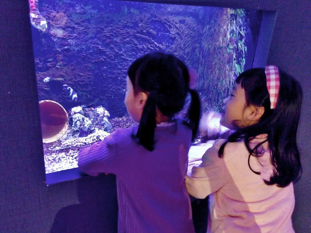 | 宜蘭包棟民宿 | 宜蘭 蝴蝶結溜滑梯親子民宿.溜滑梯+扮家家酒廚具台.孩子們玩的好開心! - 第2張圖 | 宜蘭包棟民宿 | 宜蘭 蝴蝶結溜滑梯親子民宿.溜滑梯+扮家家酒廚具台.孩子們玩的好開心!