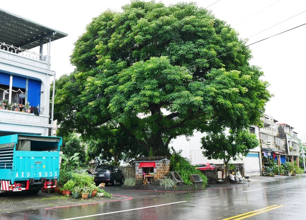 | 宜蘭包棟民宿 | 宜蘭 蝴蝶結溜滑梯親子民宿.溜滑梯+扮家家酒廚具台.孩子們玩的好開心! - 第5張圖 | 宜蘭包棟民宿 | 宜蘭 蝴蝶結溜滑梯親子民宿.溜滑梯+扮家家酒廚具台.孩子們玩的好開心!