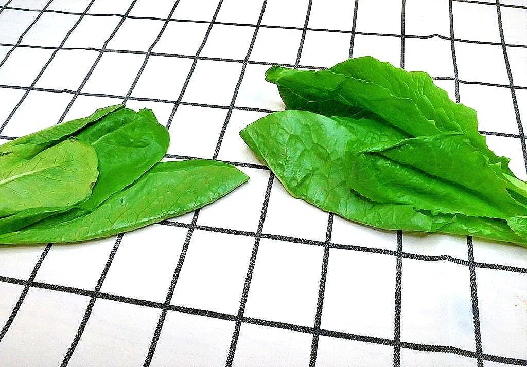 |生活|Freshcan鮮客遠紅外線環保鎖鮮袋.延長蔬果保鮮期.鎖住食材營養與水分.媽媽們的好幫手 - 第19張圖 |生活|Freshcan鮮客遠紅外線環保鎖鮮袋.延長蔬果保鮮期.鎖住食材營養與水分.媽媽們的好幫手