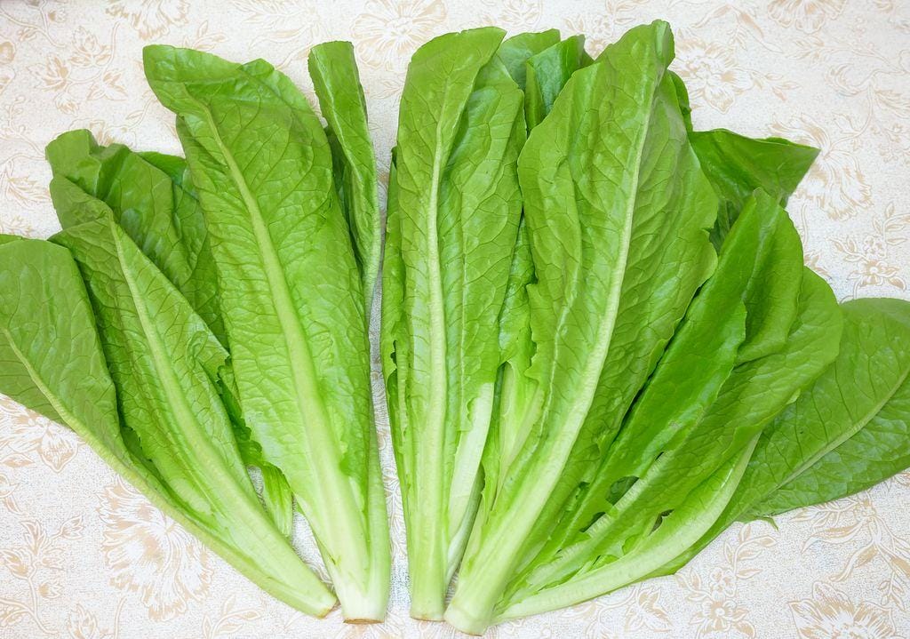 |生活|Freshcan鮮客遠紅外線環保鎖鮮袋.延長蔬果保鮮期.鎖住食材營養與水分.媽媽們的好幫手 - 第2張圖 |生活|Freshcan鮮客遠紅外線環保鎖鮮袋.延長蔬果保鮮期.鎖住食材營養與水分.媽媽們的好幫手
