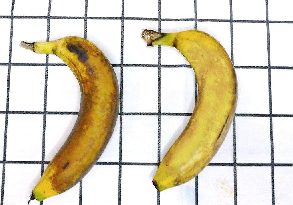 |生活|Freshcan鮮客遠紅外線環保鎖鮮袋.延長蔬果保鮮期.鎖住食材營養與水分.媽媽們的好幫手 - 第13張圖 |生活|Freshcan鮮客遠紅外線環保鎖鮮袋.延長蔬果保鮮期.鎖住食材營養與水分.媽媽們的好幫手