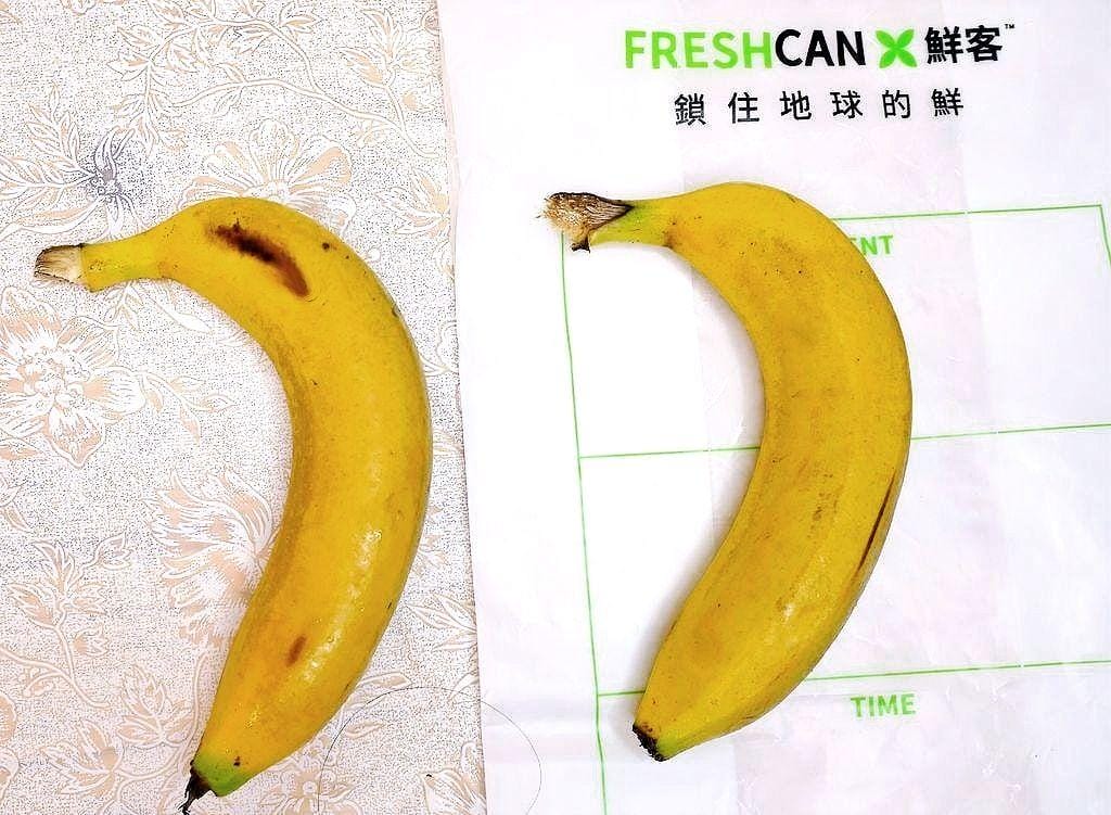 |生活|Freshcan鮮客遠紅外線環保鎖鮮袋.延長蔬果保鮮期.鎖住食材營養與水分.媽媽們的好幫手 - 第12張圖 |生活|Freshcan鮮客遠紅外線環保鎖鮮袋.延長蔬果保鮮期.鎖住食材營養與水分.媽媽們的好幫手