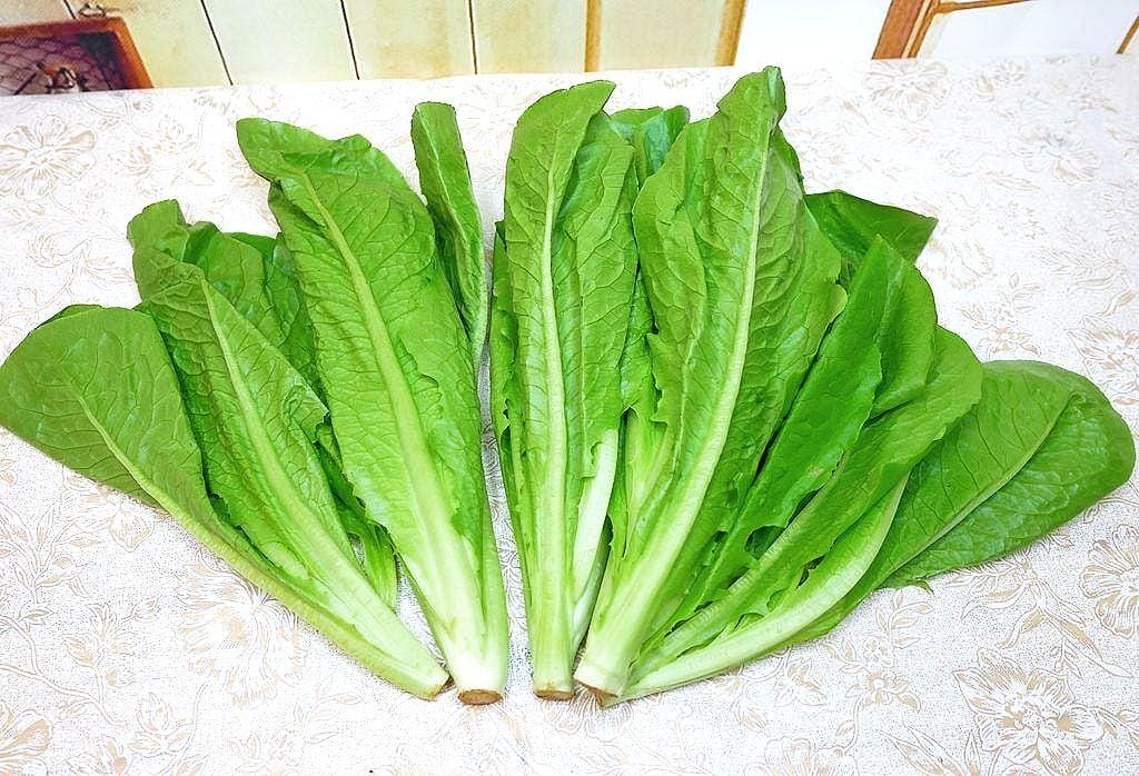 |生活|Freshcan鮮客遠紅外線環保鎖鮮袋.延長蔬果保鮮期.鎖住食材營養與水分.媽媽們的好幫手 - 第16張圖 |生活|Freshcan鮮客遠紅外線環保鎖鮮袋.延長蔬果保鮮期.鎖住食材營養與水分.媽媽們的好幫手