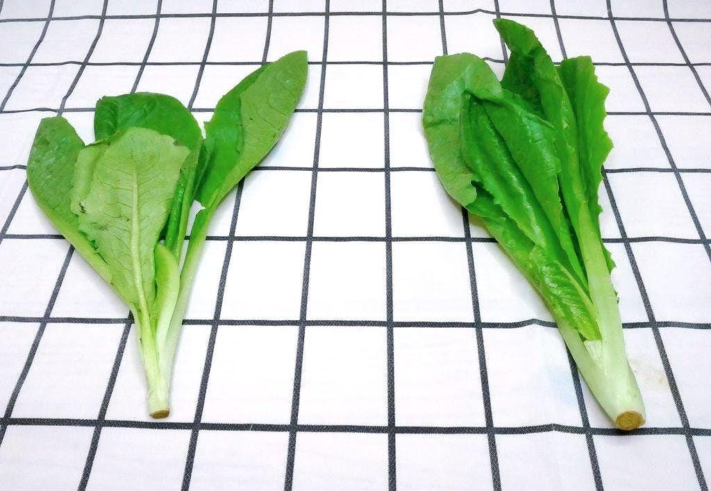 |生活|Freshcan鮮客遠紅外線環保鎖鮮袋.延長蔬果保鮮期.鎖住食材營養與水分.媽媽們的好幫手 - 第18張圖 |生活|Freshcan鮮客遠紅外線環保鎖鮮袋.延長蔬果保鮮期.鎖住食材營養與水分.媽媽們的好幫手
