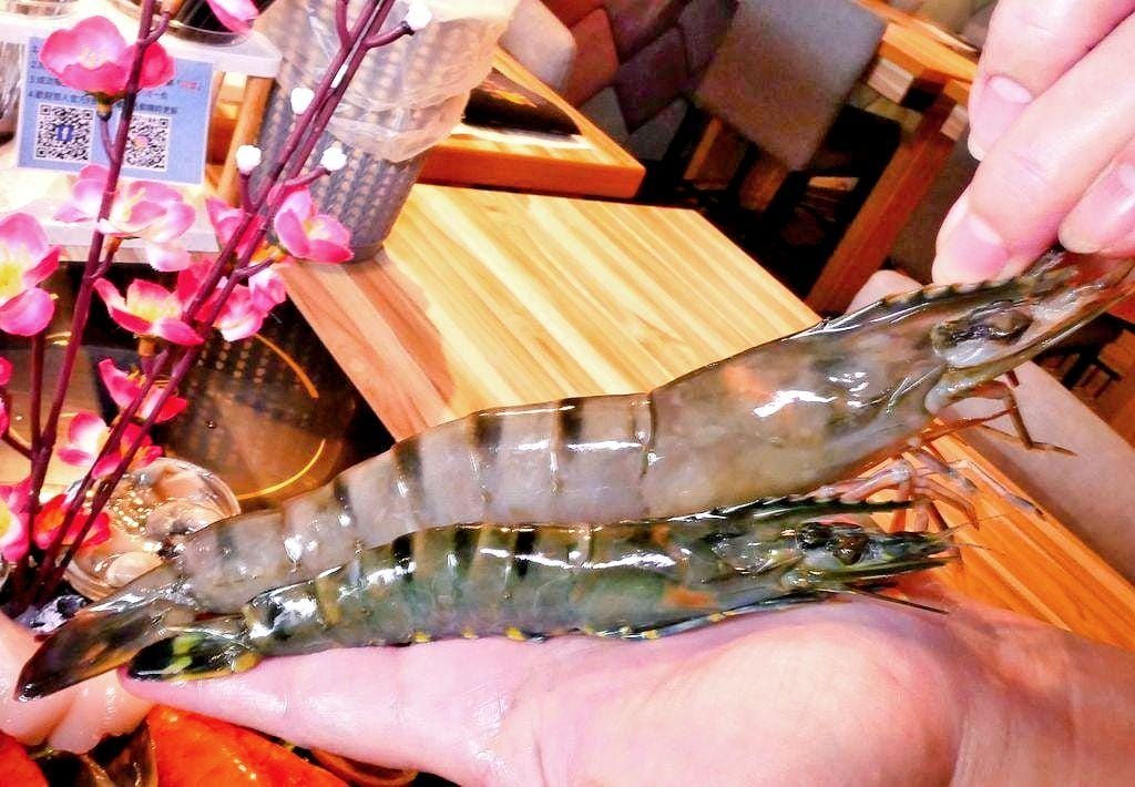 | 板橋府中火鍋 | 蜆王頂級鍋物.蝦蝦痛風鍋等著你來挑戰!台北涮涮鍋推薦!飲品冰淇淋爆米花無限享用 - 第41張圖 | 板橋府中火鍋 | 蜆王頂級鍋物.蝦蝦痛風鍋等著你來挑戰!台北涮涮鍋推薦!飲品冰淇淋爆米花無限享用