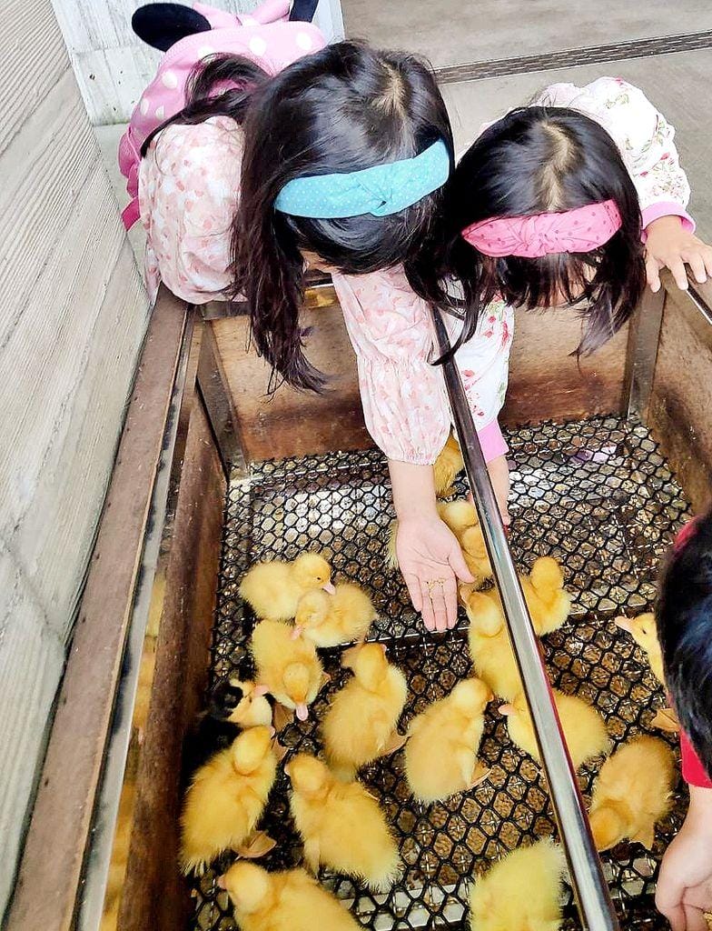 |礁溪住宿|宜蘭有朋會館 villa民宿 / 親子民宿,一泊二食無菜單料理.群山環繞的山間民宿.遠離塵囂掉入仙境 - 第3張圖 |礁溪住宿|宜蘭有朋會館 villa民宿 / 親子民宿,一泊二食無菜單料理.群山環繞的山間民宿.遠離塵囂掉入仙境