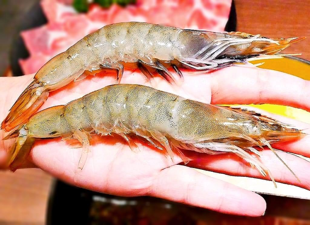 |板橋火鍋|瀧鍋物製造所.金多蝦鍋.湯頭採新鮮大骨+精選蔬菜熬煮.新鮮蔬菜盤-無加工火鍋料 - 第40張圖 |板橋火鍋|瀧鍋物製造所.金多蝦鍋.湯頭採新鮮大骨+精選蔬菜熬煮.新鮮蔬菜盤-無加工火鍋料