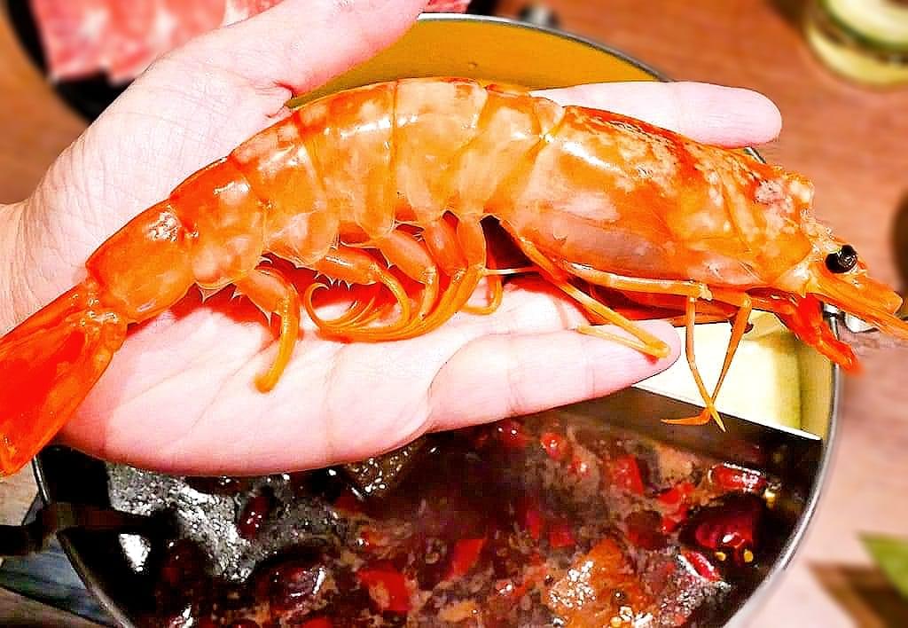 |板橋火鍋|瀧鍋物製造所.金多蝦鍋.湯頭採新鮮大骨+精選蔬菜熬煮.新鮮蔬菜盤-無加工火鍋料 - 第39張圖 |板橋火鍋|瀧鍋物製造所.金多蝦鍋.湯頭採新鮮大骨+精選蔬菜熬煮.新鮮蔬菜盤-無加工火鍋料