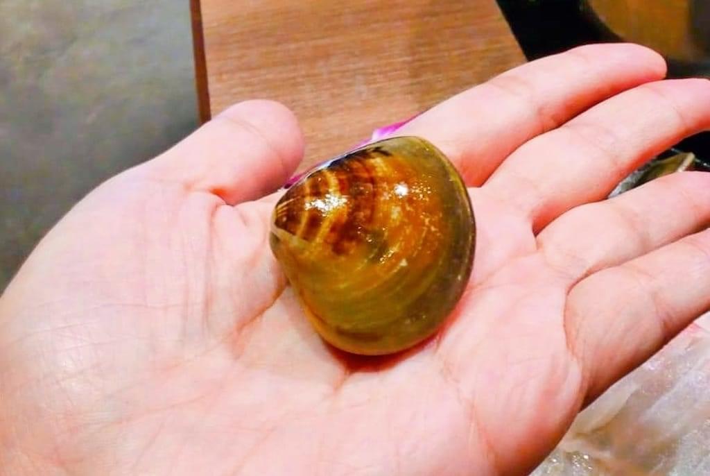 |板橋火鍋|瀧鍋物製造所.金多蝦鍋.湯頭採新鮮大骨+精選蔬菜熬煮.新鮮蔬菜盤-無加工火鍋料 - 第36張圖 |板橋火鍋|瀧鍋物製造所.金多蝦鍋.湯頭採新鮮大骨+精選蔬菜熬煮.新鮮蔬菜盤-無加工火鍋料