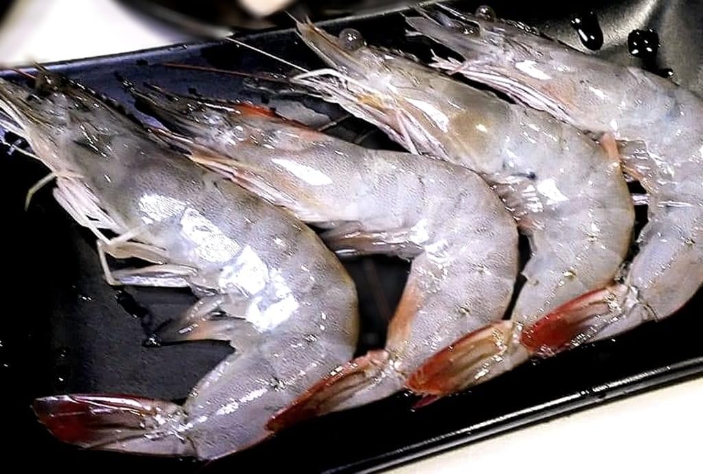 |永和小火鍋|Kuo-ma鍋媽精緻小火鍋(永和竹林店).百元個人鍋物!IG打卡網美牆.推薦必吃南瓜牛奶起司鍋 - 第35張圖 |永和小火鍋|Kuo-ma鍋媽精緻小火鍋(永和竹林店).百元個人鍋物!IG打卡網美牆.推薦必吃南瓜牛奶起司鍋
