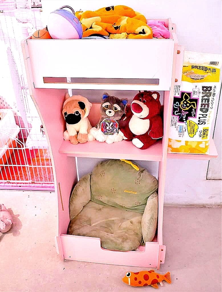 | 中山區寵物咖啡廳 | HOUSE CAFE .寵物 / 親子友善餐廳.毛小孩放鬆一下.洗澡/美容/吃大餐好享受! - 第25張圖 | 中山區寵物咖啡廳 | HOUSE CAFE .寵物 / 親子友善餐廳.毛小孩放鬆一下.洗澡/美容/吃大餐好享受!