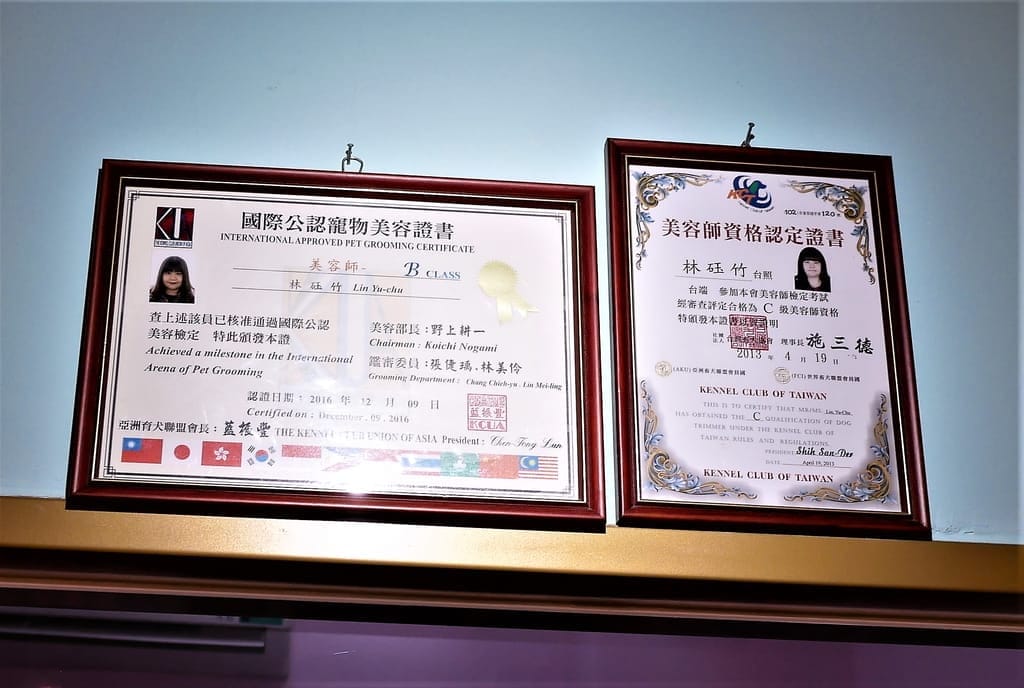 | 中山區寵物咖啡廳 | HOUSE CAFE .寵物 / 親子友善餐廳.毛小孩放鬆一下.洗澡/美容/吃大餐好享受! - 第27張圖 | 中山區寵物咖啡廳 | HOUSE CAFE .寵物 / 親子友善餐廳.毛小孩放鬆一下.洗澡/美容/吃大餐好享受!