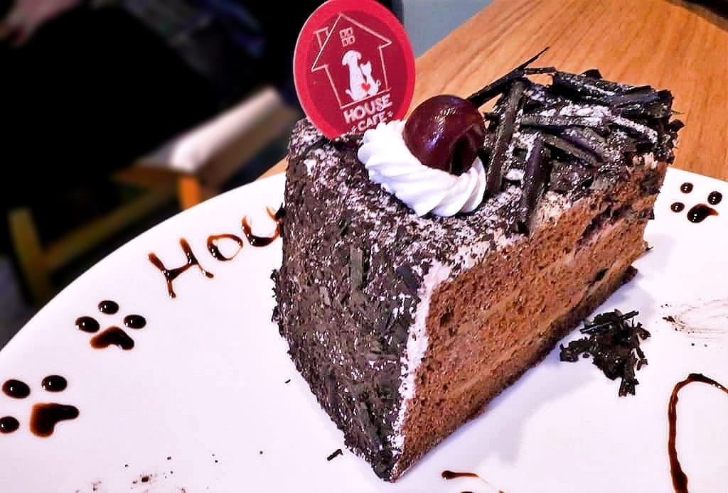 | 中山區寵物咖啡廳 | HOUSE CAFE .寵物 / 親子友善餐廳.毛小孩放鬆一下.洗澡/美容/吃大餐好享受! - 第72張圖 | 中山區寵物咖啡廳 | HOUSE CAFE .寵物 / 親子友善餐廳.毛小孩放鬆一下.洗澡/美容/吃大餐好享受!