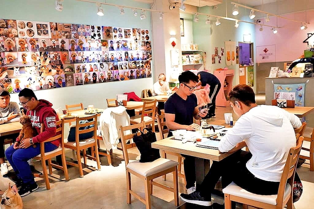 | 中山區寵物咖啡廳 | HOUSE CAFE .寵物 / 親子友善餐廳.毛小孩放鬆一下.洗澡/美容/吃大餐好享受! - 第17張圖 | 中山區寵物咖啡廳 | HOUSE CAFE .寵物 / 親子友善餐廳.毛小孩放鬆一下.洗澡/美容/吃大餐好享受!