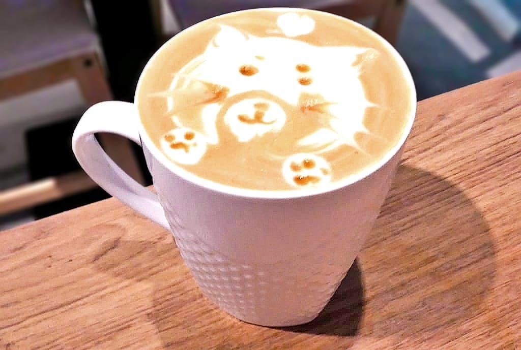 | 中山區寵物咖啡廳 | HOUSE CAFE .寵物 / 親子友善餐廳.毛小孩放鬆一下.洗澡/美容/吃大餐好享受! - 第40張圖 | 中山區寵物咖啡廳 | HOUSE CAFE .寵物 / 親子友善餐廳.毛小孩放鬆一下.洗澡/美容/吃大餐好享受!