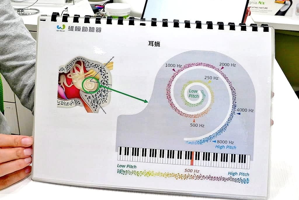 |板橋助聽器|維膜助聽器.精密聽力檢測.數位聚焦收音.最高補助7萬 - 第43張圖 |板橋助聽器|維膜助聽器.精密聽力檢測.數位聚焦收音.最高補助7萬