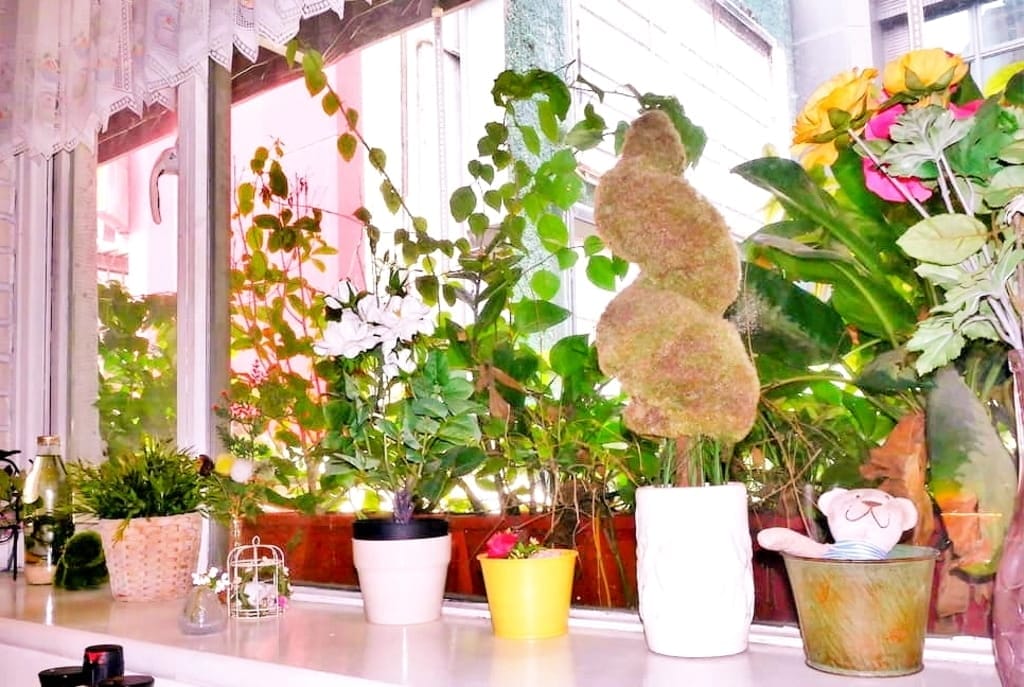 |西門町咖啡|Oyami cafe 防疫安心餐廳.獨立包廂用餐 .精緻美味義式料理,西門美食下午茶! - 第11張圖 |西門町咖啡|Oyami cafe 防疫安心餐廳.獨立包廂用餐 .精緻美味義式料理,西門美食下午茶!
