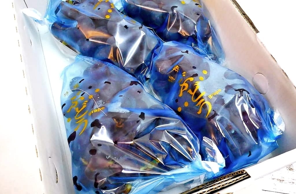 超甜!多汁葡萄盛產~苗栗卓蘭輸日巨峰葡萄.滿滿的甜度.每一口都讓人倍感幸福 - 第7張圖 超甜!多汁葡萄盛產~苗栗卓蘭輸日巨峰葡萄.滿滿的甜度.每一口都讓人倍感幸福