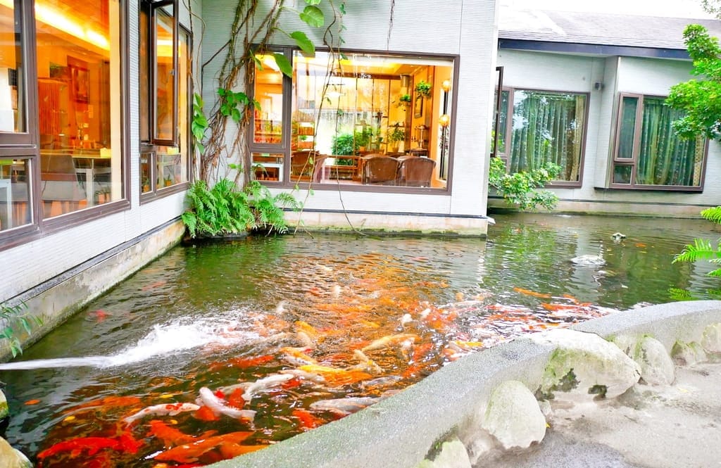 | 花蓮親子景點 | 金澤居民宿.保留大自然環境-大魚池.騎單車.大草皮.親子共遊的好地方 - 第26張圖 | 花蓮親子景點 | 金澤居民宿.保留大自然環境-大魚池.騎單車.大草皮.親子共遊的好地方