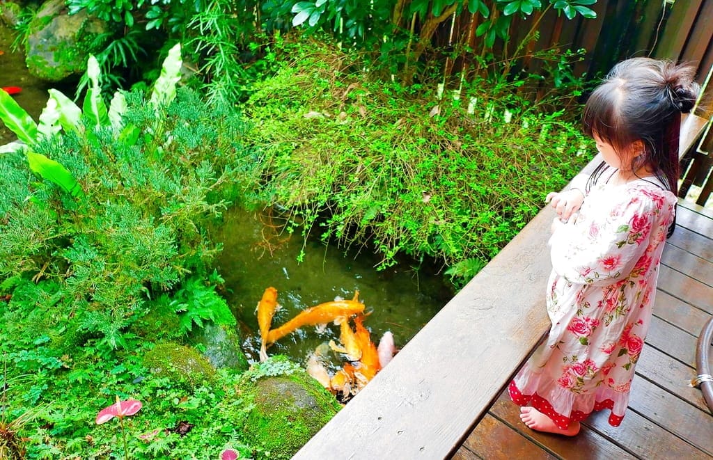 |花蓮之旅|潭心閣民宿.漫遊鯉魚潭湖畔.滿山綠意的好地方.三天兩夜慢活親子小旅行.花蓮民宿推薦 - 第83張圖 |花蓮之旅|潭心閣民宿.漫遊鯉魚潭湖畔.滿山綠意的好地方.三天兩夜慢活親子小旅行.花蓮民宿推薦