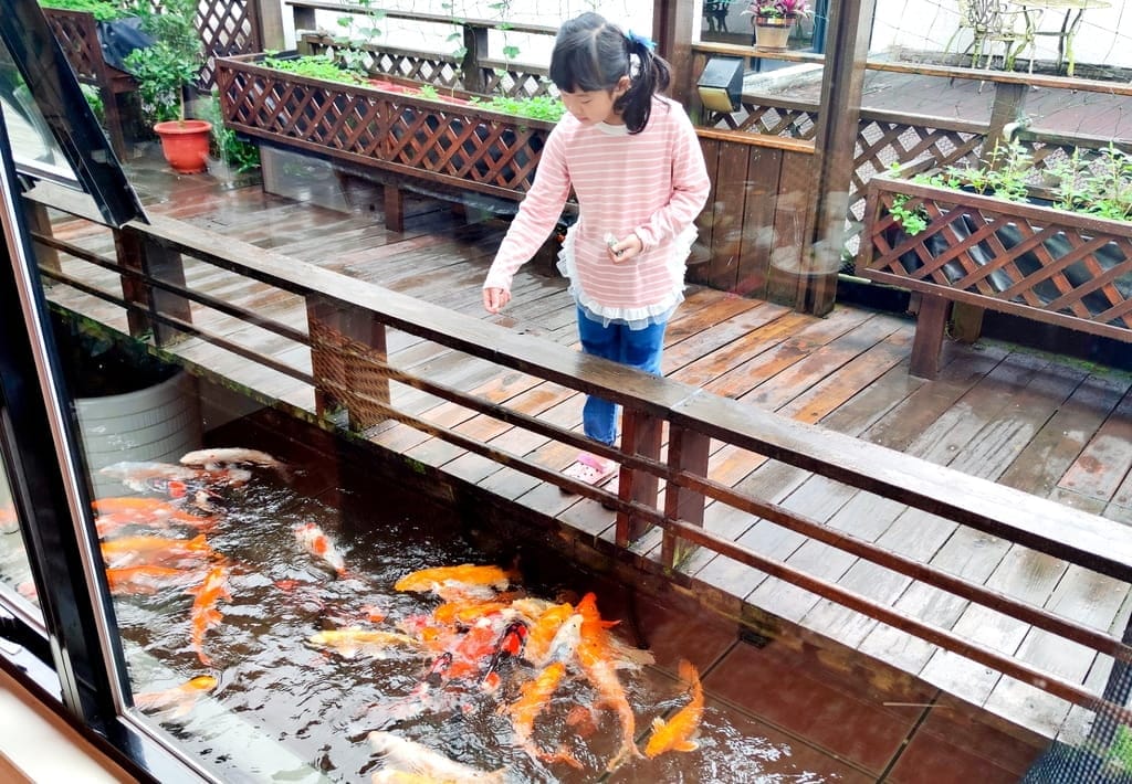 |花蓮之旅|潭心閣民宿.漫遊鯉魚潭湖畔.滿山綠意的好地方.三天兩夜慢活親子小旅行.花蓮民宿推薦 - 第36張圖 |花蓮之旅|潭心閣民宿.漫遊鯉魚潭湖畔.滿山綠意的好地方.三天兩夜慢活親子小旅行.花蓮民宿推薦
