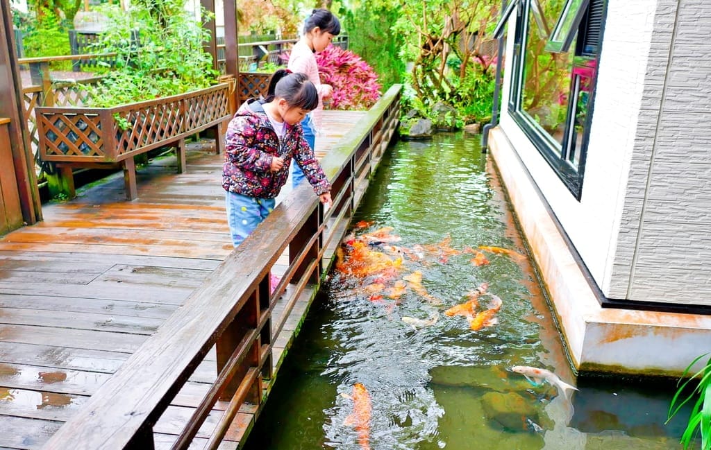|花蓮之旅|潭心閣民宿.漫遊鯉魚潭湖畔.滿山綠意的好地方.三天兩夜慢活親子小旅行.花蓮民宿推薦 - 第92張圖 |花蓮之旅|潭心閣民宿.漫遊鯉魚潭湖畔.滿山綠意的好地方.三天兩夜慢活親子小旅行.花蓮民宿推薦