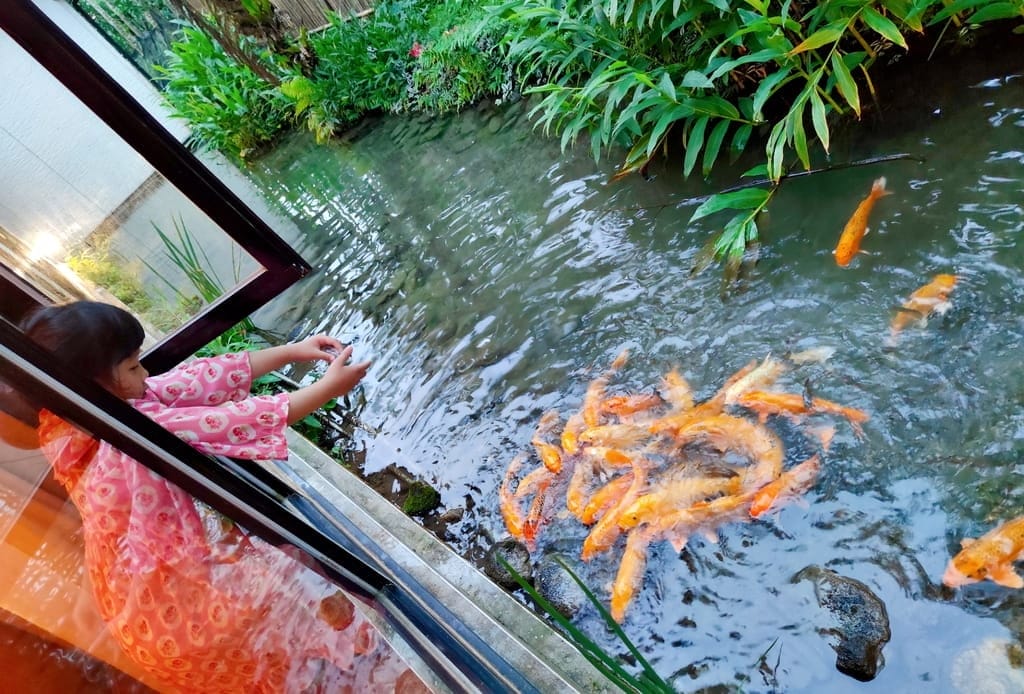 |花蓮之旅|潭心閣民宿.漫遊鯉魚潭湖畔.滿山綠意的好地方.三天兩夜慢活親子小旅行.花蓮民宿推薦 - 第67張圖 |花蓮之旅|潭心閣民宿.漫遊鯉魚潭湖畔.滿山綠意的好地方.三天兩夜慢活親子小旅行.花蓮民宿推薦