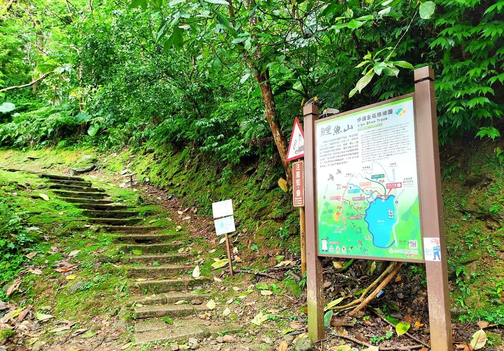 |花蓮之旅|潭心閣民宿.漫遊鯉魚潭湖畔.滿山綠意的好地方.三天兩夜慢活親子小旅行.花蓮民宿推薦 - 第95張圖 |花蓮之旅|潭心閣民宿.漫遊鯉魚潭湖畔.滿山綠意的好地方.三天兩夜慢活親子小旅行.花蓮民宿推薦