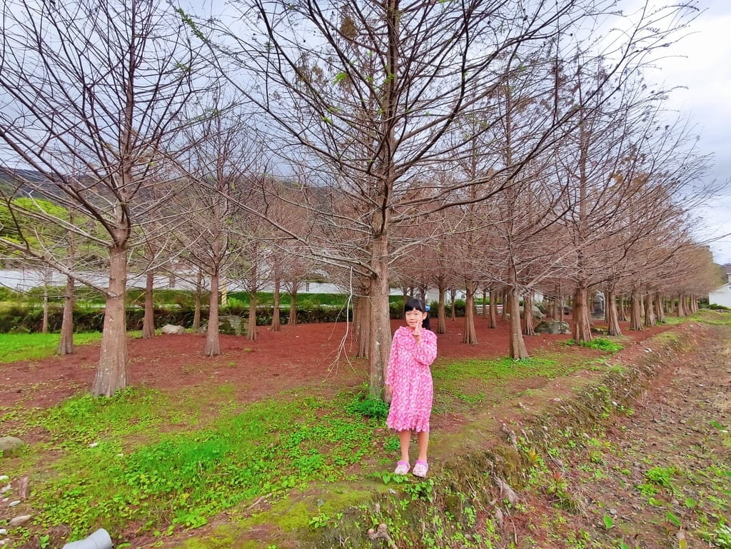 | 花蓮親子景點 | 金澤居民宿.保留大自然環境-大魚池.騎單車.大草皮.親子共遊的好地方 - 第82張圖 | 花蓮親子景點 | 金澤居民宿.保留大自然環境-大魚池.騎單車.大草皮.親子共遊的好地方