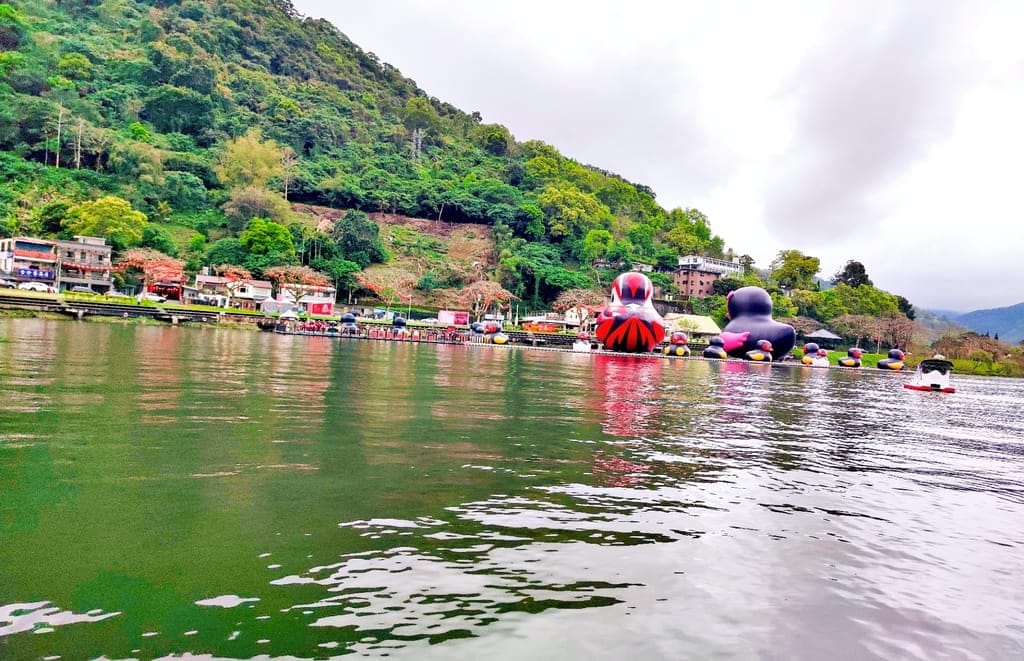 |花蓮之旅|潭心閣民宿.漫遊鯉魚潭湖畔.滿山綠意的好地方.三天兩夜慢活親子小旅行.花蓮民宿推薦 - 第22張圖 |花蓮之旅|潭心閣民宿.漫遊鯉魚潭湖畔.滿山綠意的好地方.三天兩夜慢活親子小旅行.花蓮民宿推薦